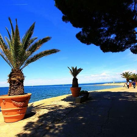 Cozy Apartments Buket In The Center Izola Bagian luar foto