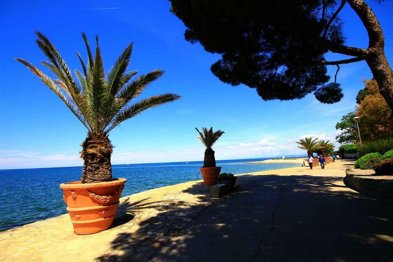 Cozy Apartments Buket In The Center Izola Bagian luar foto